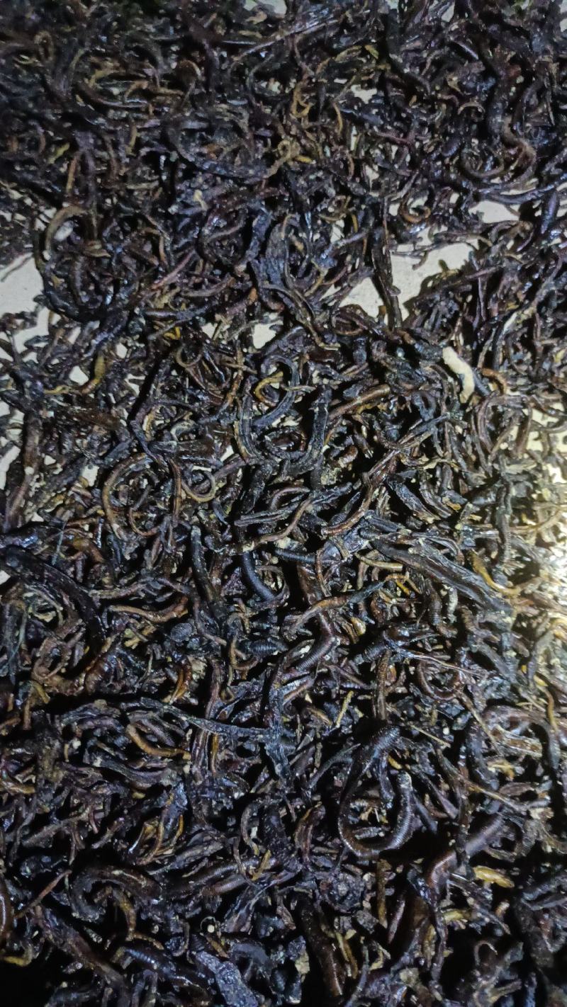 地龙干