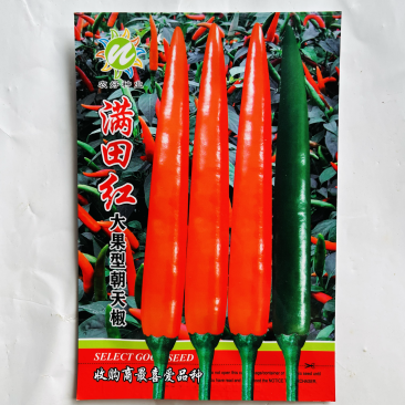 满田红小米椒种子泰国进口品种原装正品杂交一代艳红果品种