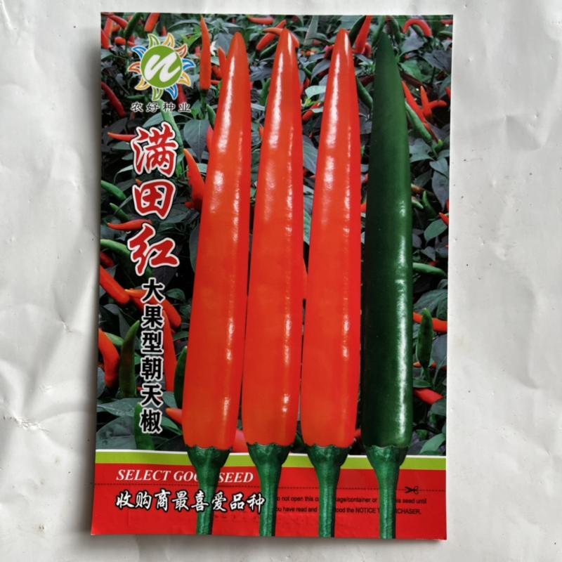 满田红小米椒种子泰国进口品种原装正品杂交一代艳红果品种