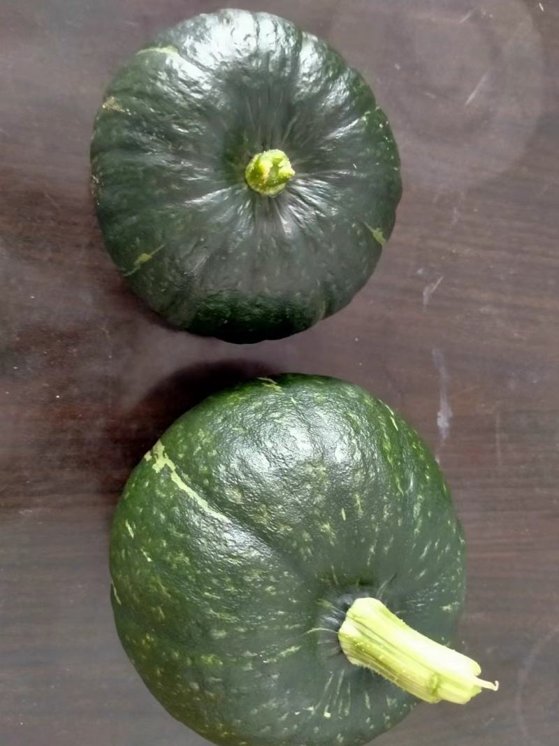 贝贝南瓜，精品贝贝南瓜，板栗南瓜，金丝蜜本南瓜，大量供应