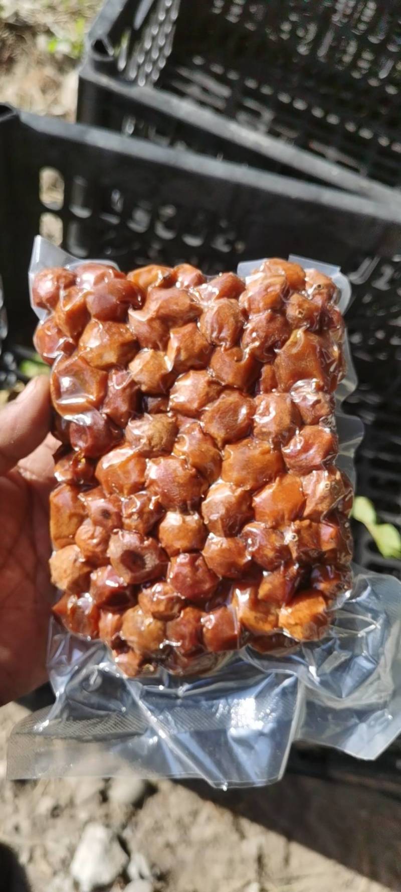 伊犁特产树上干杏