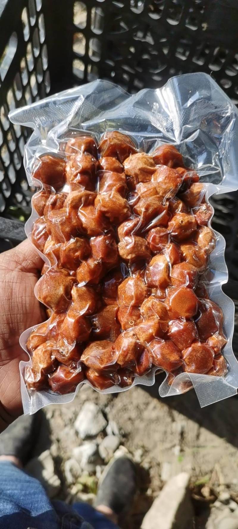 伊犁特产树上干杏