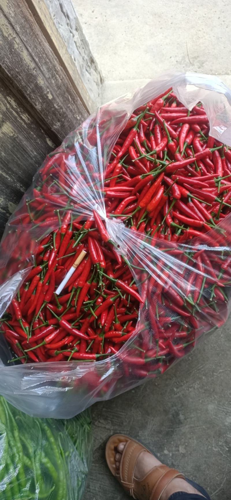 小米椒