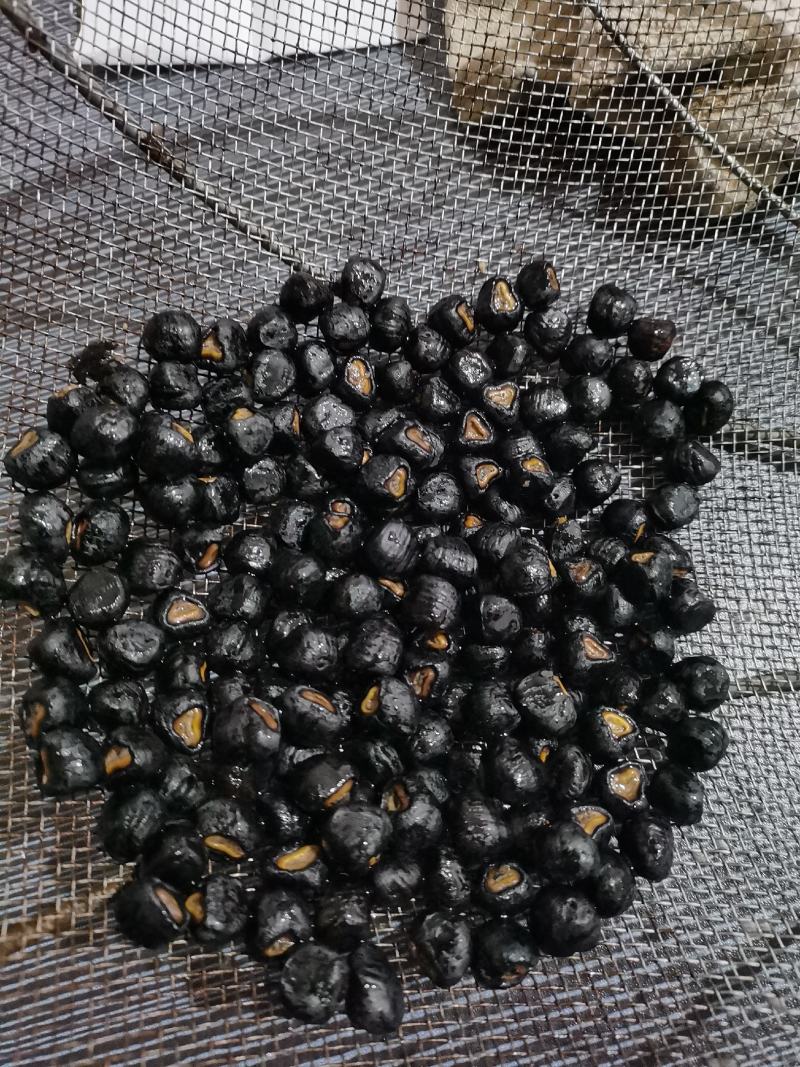 食用芭蕉苗芭蕉种子观赏食用一体芭蕉芭蕉花芭蕉心