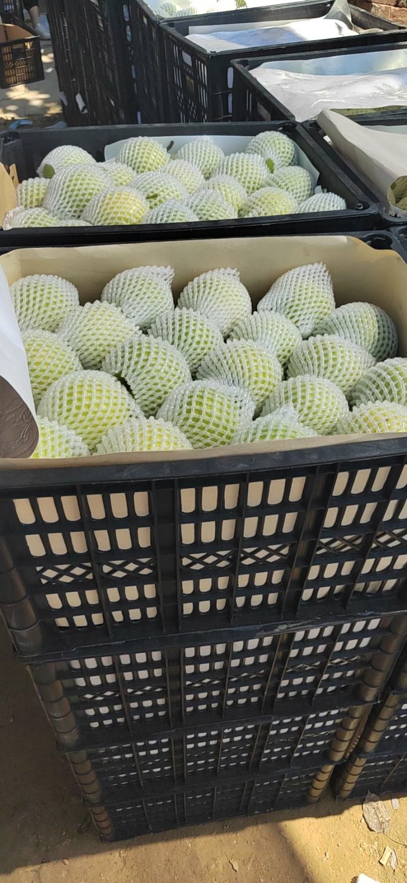 【推荐】皇冠梨翠甜精品优选现摘现发商超优选诚信经营