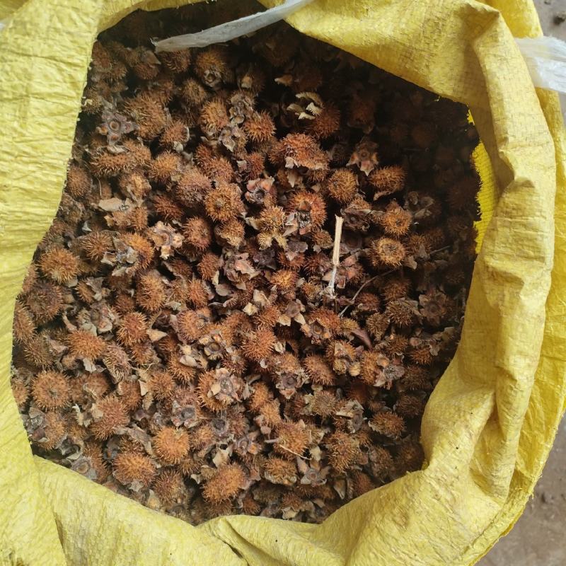 刺梨，现货十吨