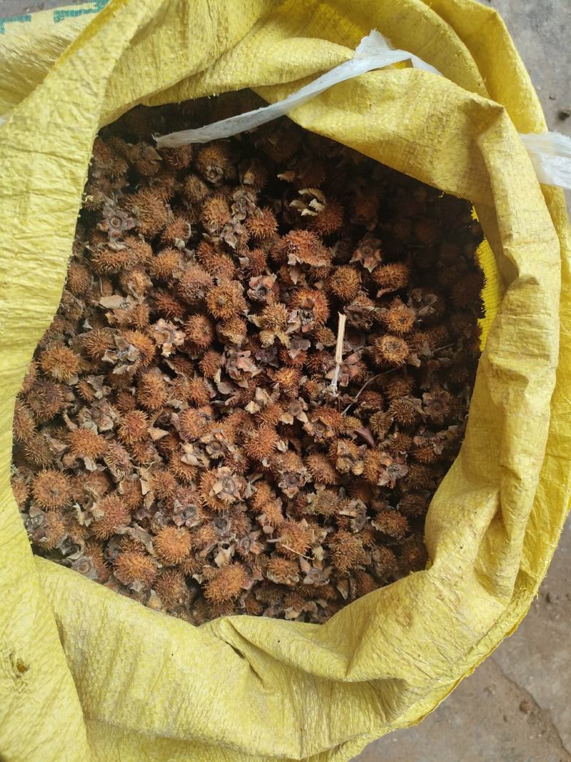 刺梨，现货十吨