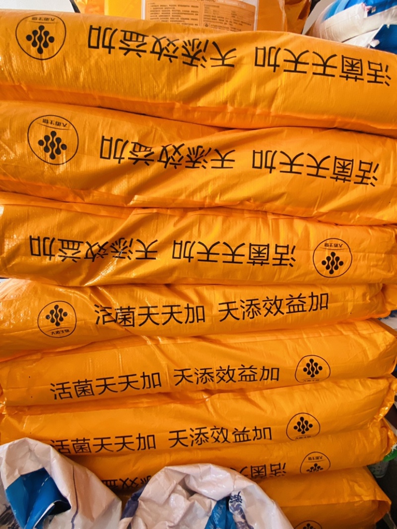 活菌天天加猪用调理肠道促进消化吸收降氨除臭