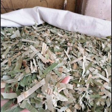 荷叶批发零售各种规格中药材荷叶丝荷叶块儿