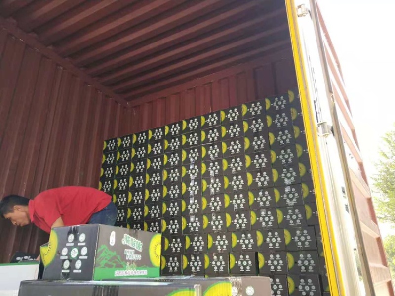 大量露天绿心、黄心、红心猕猴桃上市，品种多多