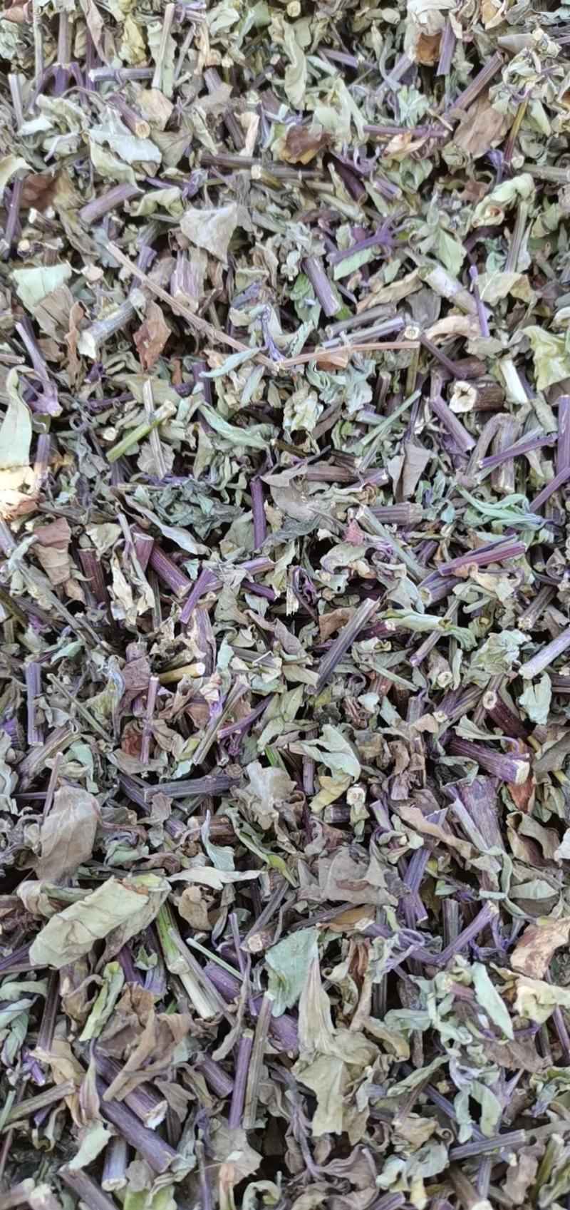 猫须草2022年的头批新货，新鲜青绿，欢迎下单