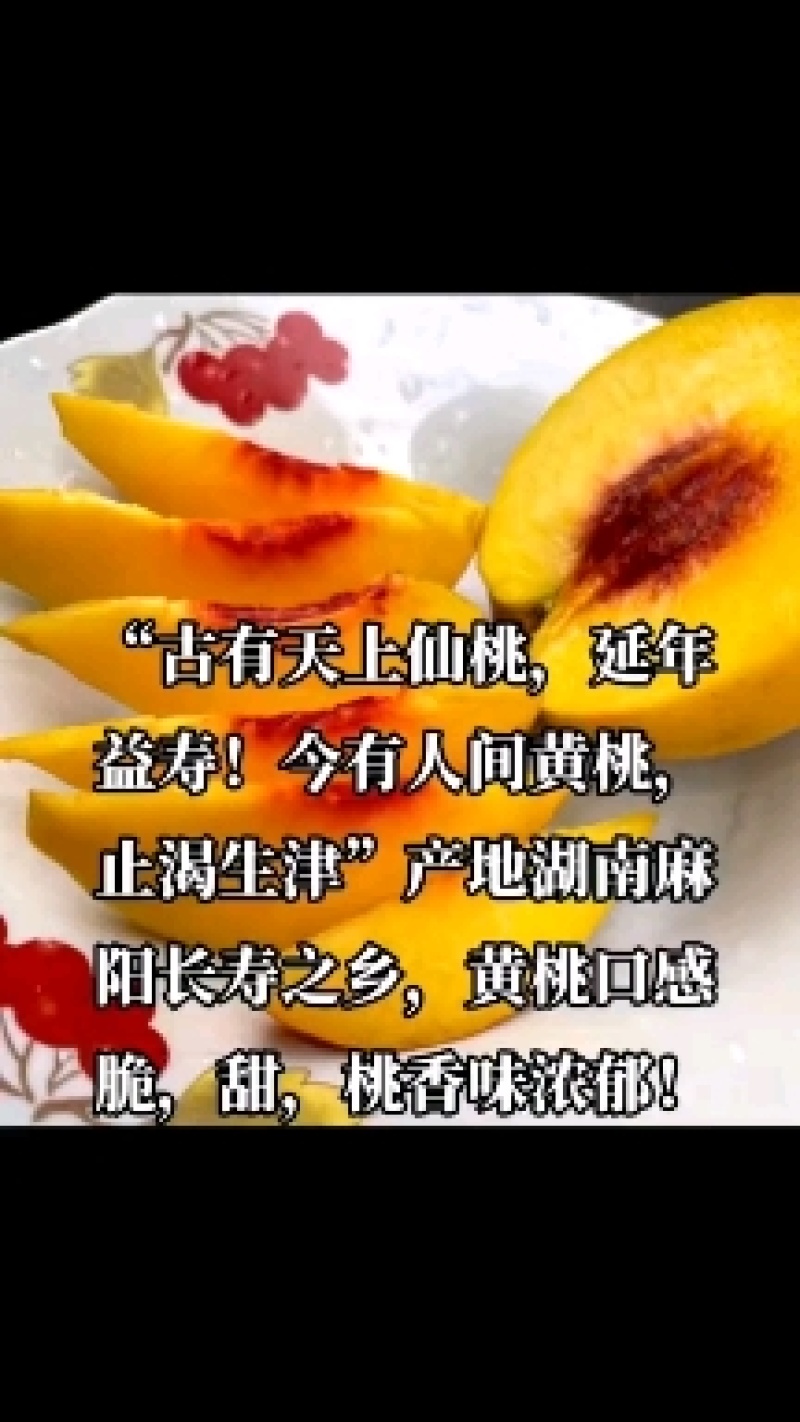 湖南麻阳锦绣黄桃8月就上市了，非常好吃！对接企业福利！