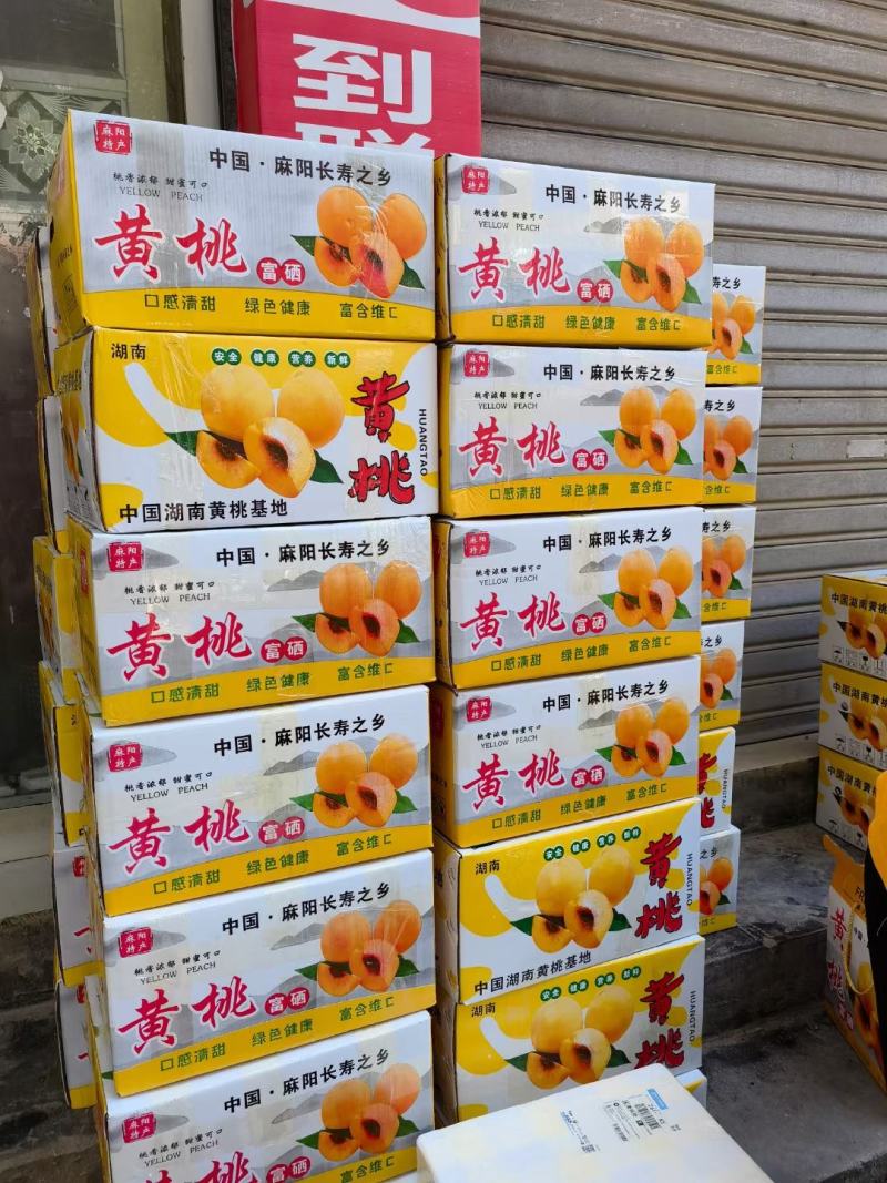 湖南麻阳锦绣黄桃8月就上市了，非常好吃！对接企业福利！