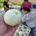 方平美浓甜瓜