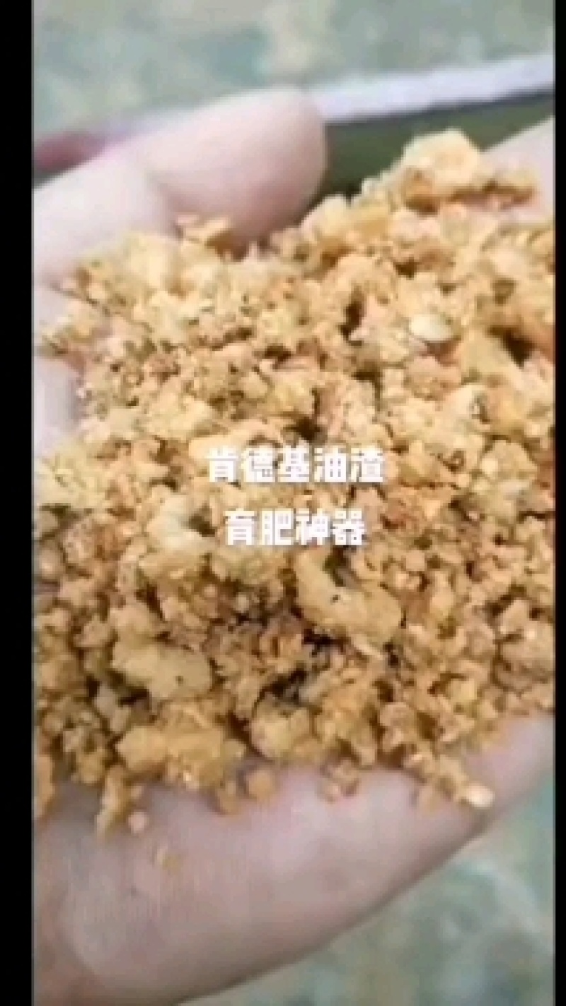 肯德基油渣食品厂油渣，饲料用榨油用的都有