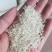 珍桂米做河粉，肠粉专用来