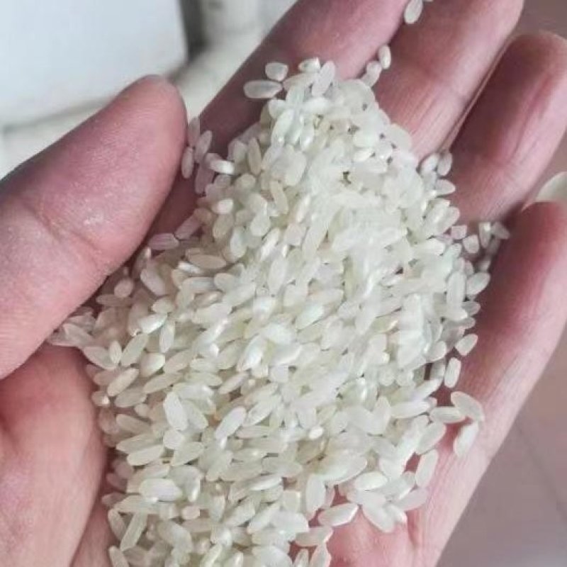 珍桂米做河粉，肠粉专用来