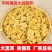 豆耳多规格
