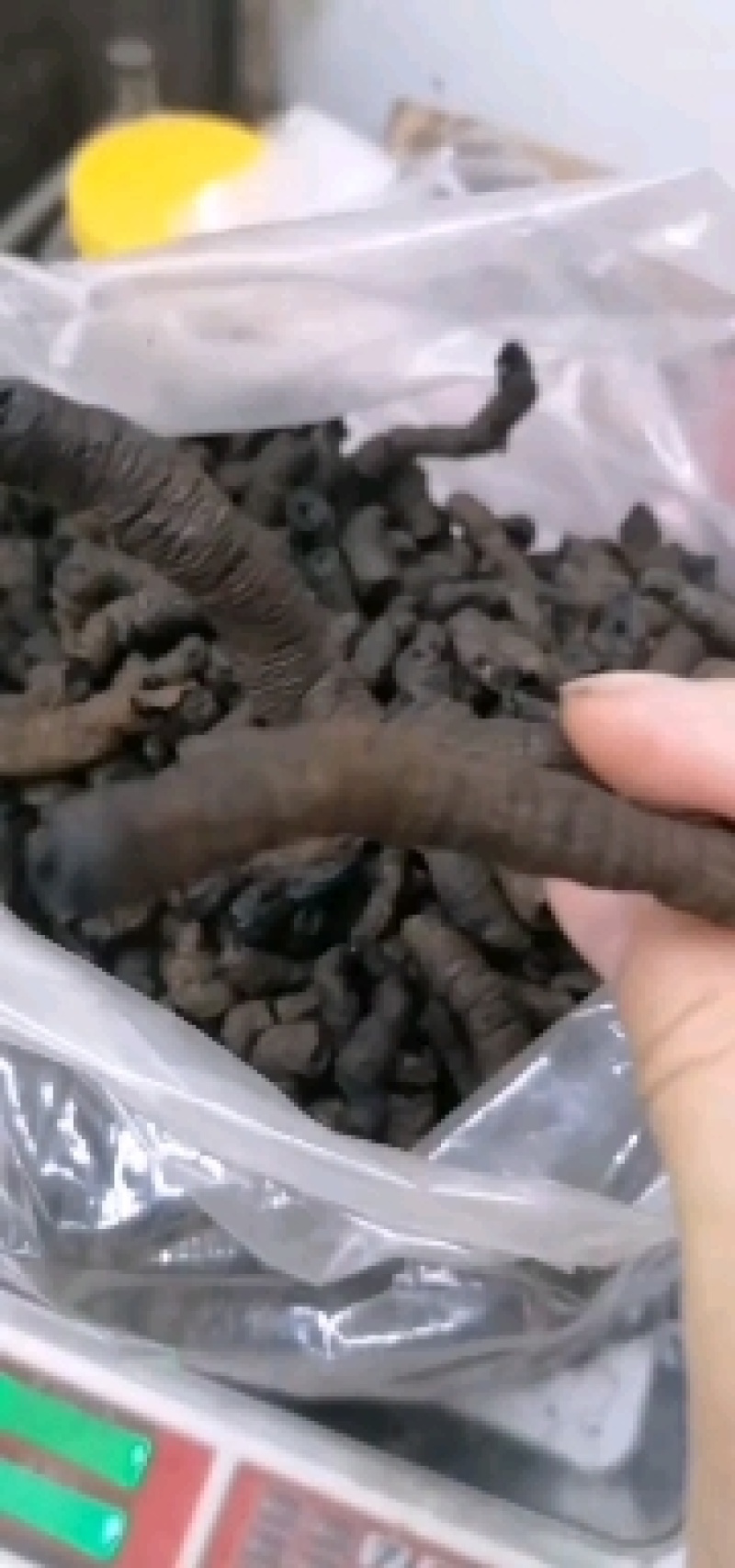 九蒸九晒野生巴戟天质量保证，，，，，，，，，，，，，，，