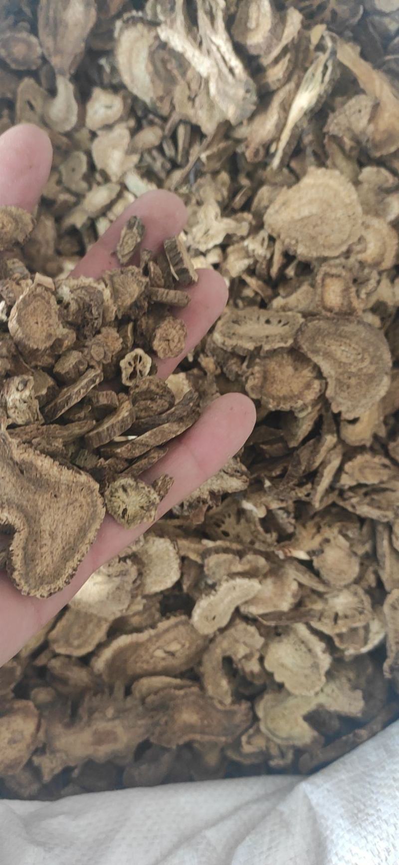 云木香干货云木香量大从优欢迎选购！