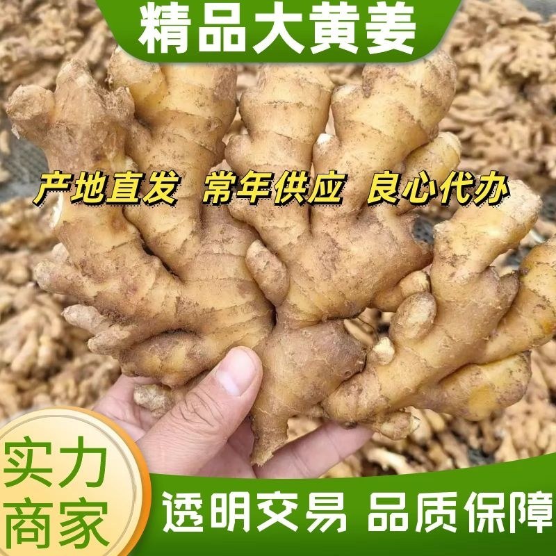 大黄姜批发（坏烂包赔）电商货商场货市场货一手货源