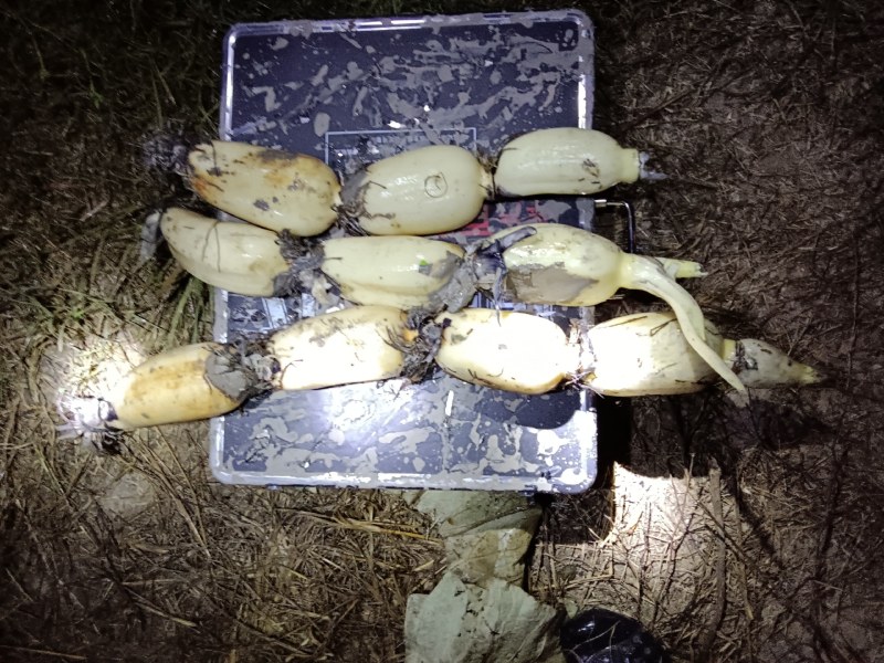 第一年的35，白，少量水花锈