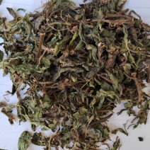 旱莲草，草药，纯青无硫产地山东墨旱莲【丹丹中药】