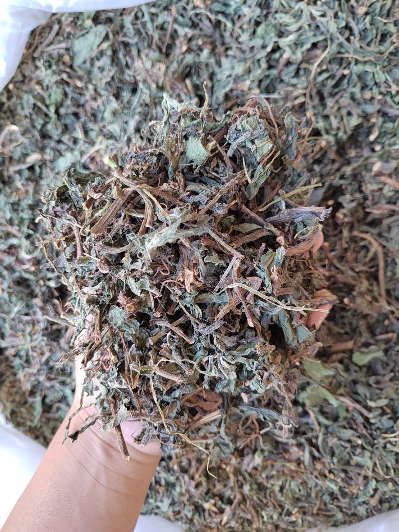 旱莲草，草药，纯青无硫产地山东墨旱莲【丹丹中药】
