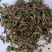 旱莲草，草药，纯青无硫产地山东墨旱莲【丹丹中药】
