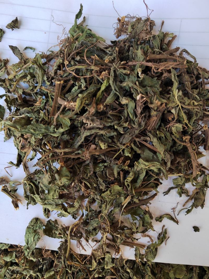 旱莲草，草药，纯青无硫产地山东墨旱莲【丹丹中药】