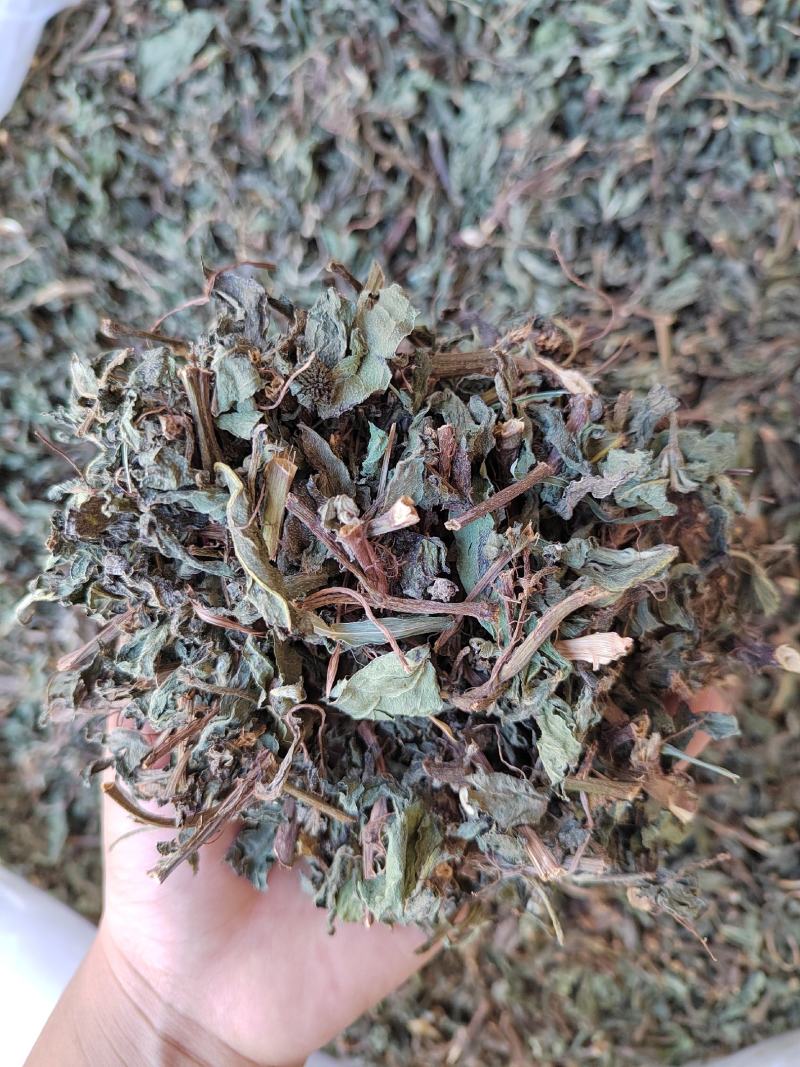旱莲草，草药，纯青无硫产地山东墨旱莲【丹丹中药】