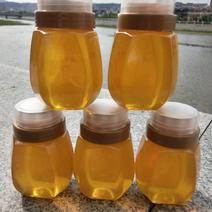 椴树蜜纯蜂场椴树蜜波美度42以上不齁甜一瓶一斤2斤