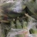 水果玉米