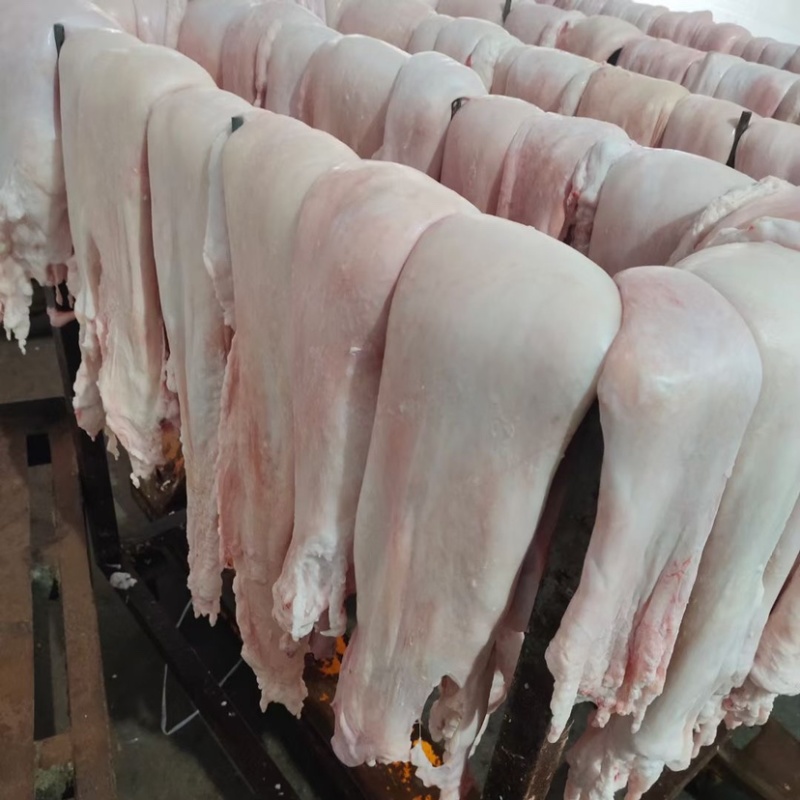 折叠板油基地直发质量保证，货源充足