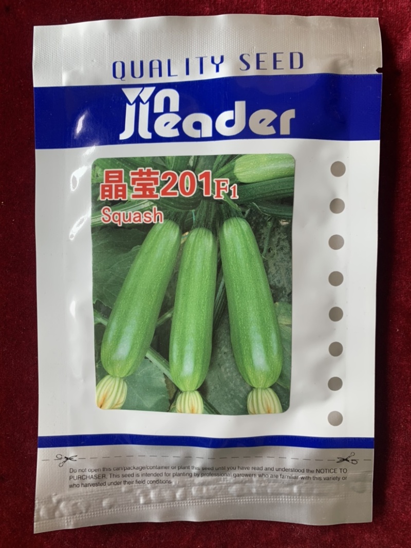 晶莹201杂交西葫芦、高抗病、耐热、翠绿油亮、丰产性好