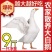 鹅农家散养大鹅整只现杀老鹅速冻大白鹅土鹅仔鹅新鲜鹅肉批发