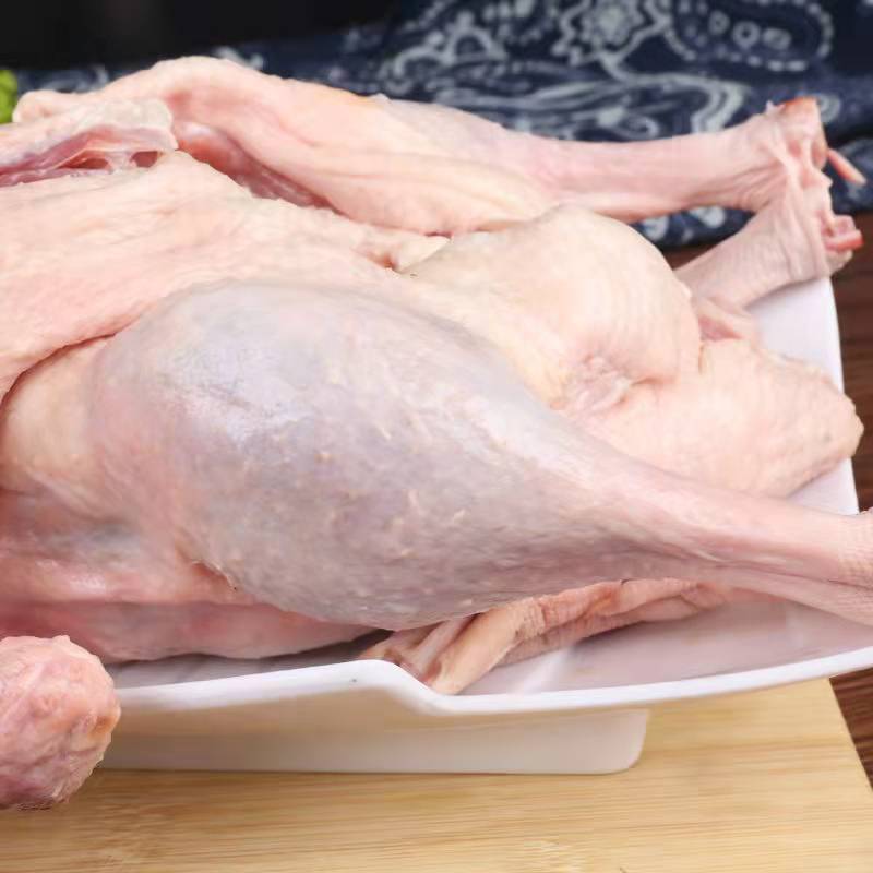 鹅农家散养大鹅整只现杀老鹅速冻大白鹅土鹅仔鹅新鲜鹅肉批发