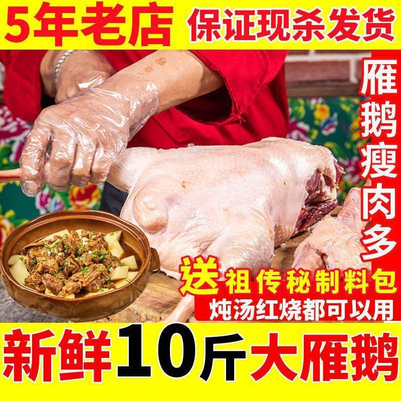 【极速发】9斤大鹅农家散养新鲜现杀冷冻鹅肉整只白条鹅雁鹅