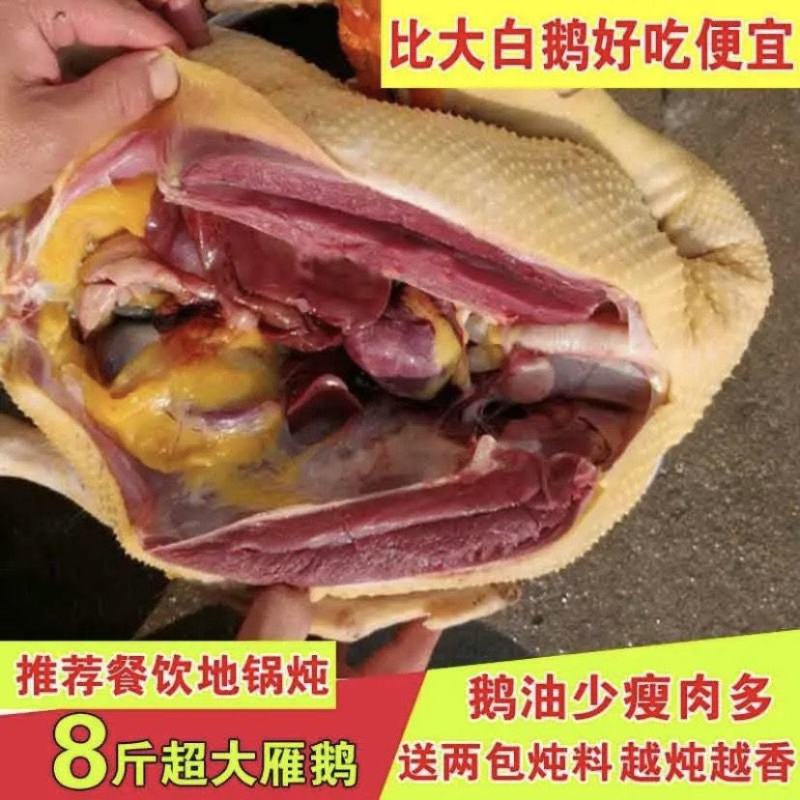 【极速发】9斤大鹅农家散养新鲜现杀冷冻鹅肉整只白条鹅雁鹅