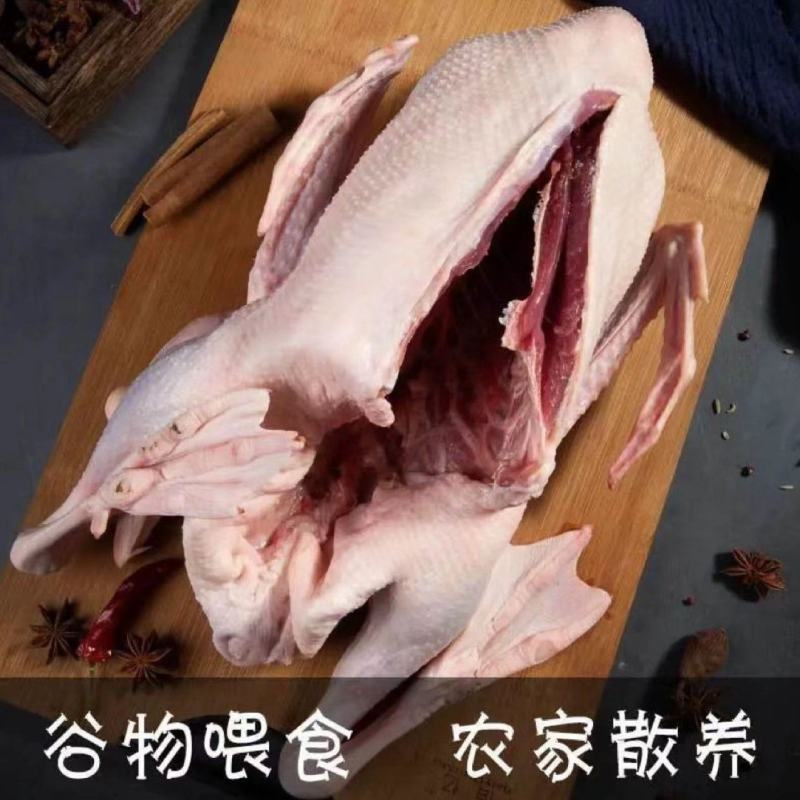 【极速发】9斤大鹅农家散养新鲜现杀冷冻鹅肉整只白条鹅雁鹅