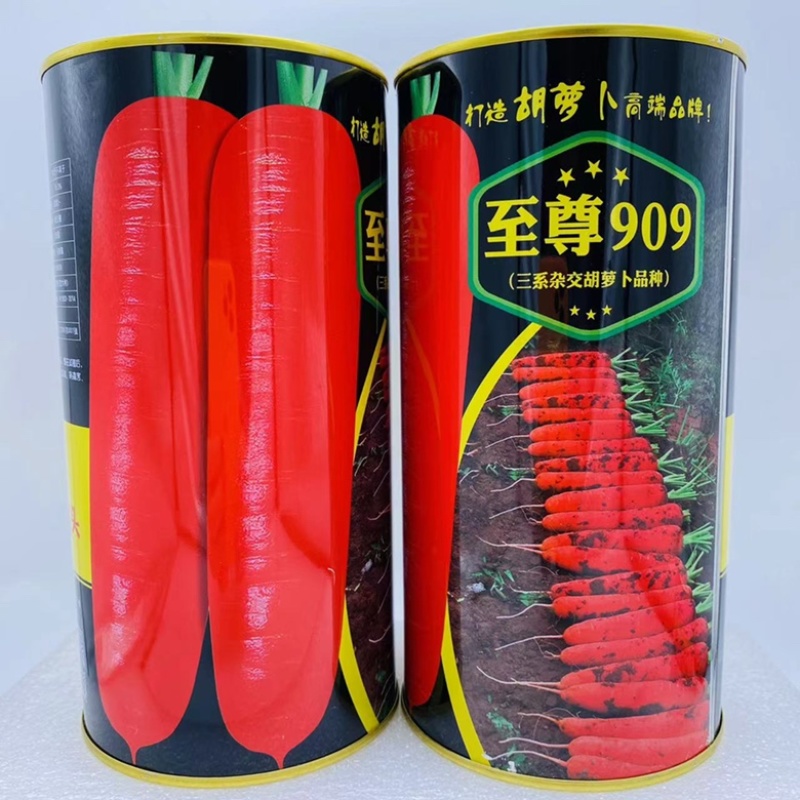 至尊909胡萝卜种子杂交品种春秋两用品种种子