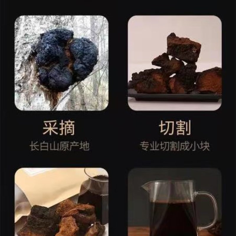 川西高原化石草，夜明砂，桑黄，红雪茶
