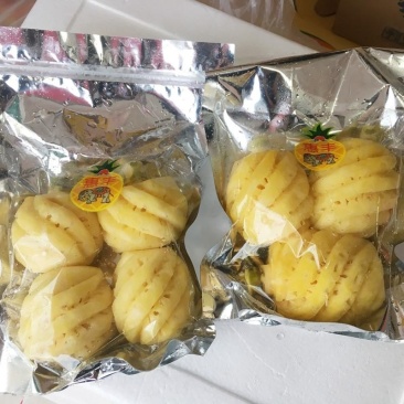 小菠萝