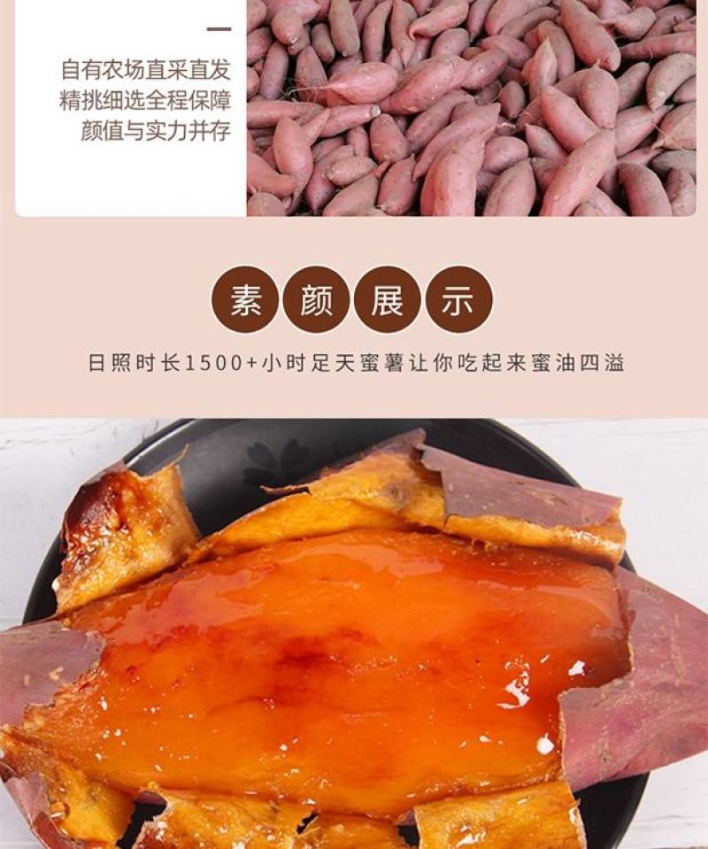 [精品]安徽西瓜红蜜薯大量上市质量保证