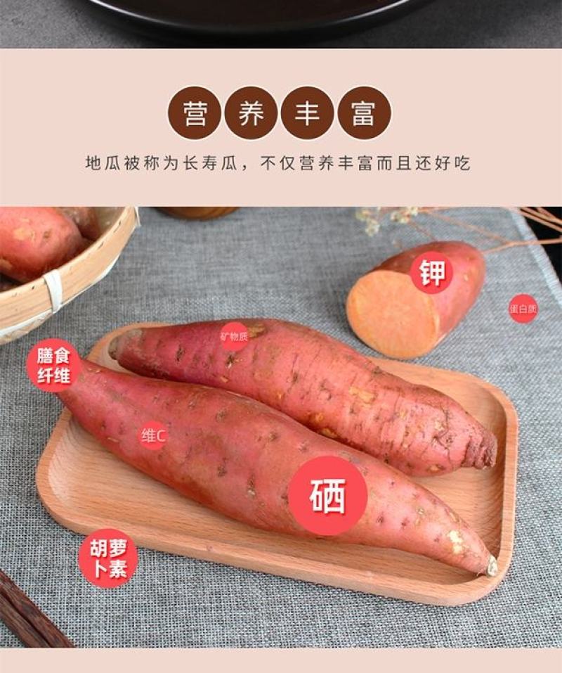[精品]安徽西瓜红蜜薯大量上市质量保证