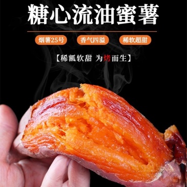 [精品]安徽黑土地，蜜薯大量上市，质量保证