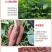 [精品]安徽黑土地，蜜薯大量上市，质量保证