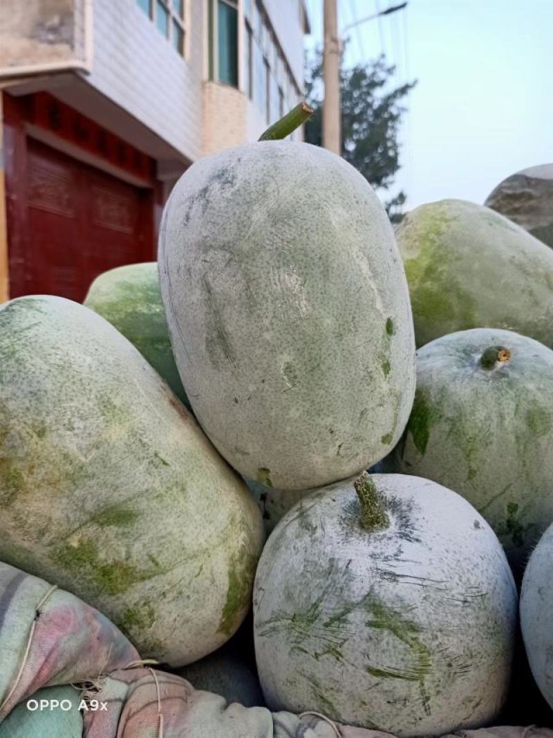 翡翠冬瓜