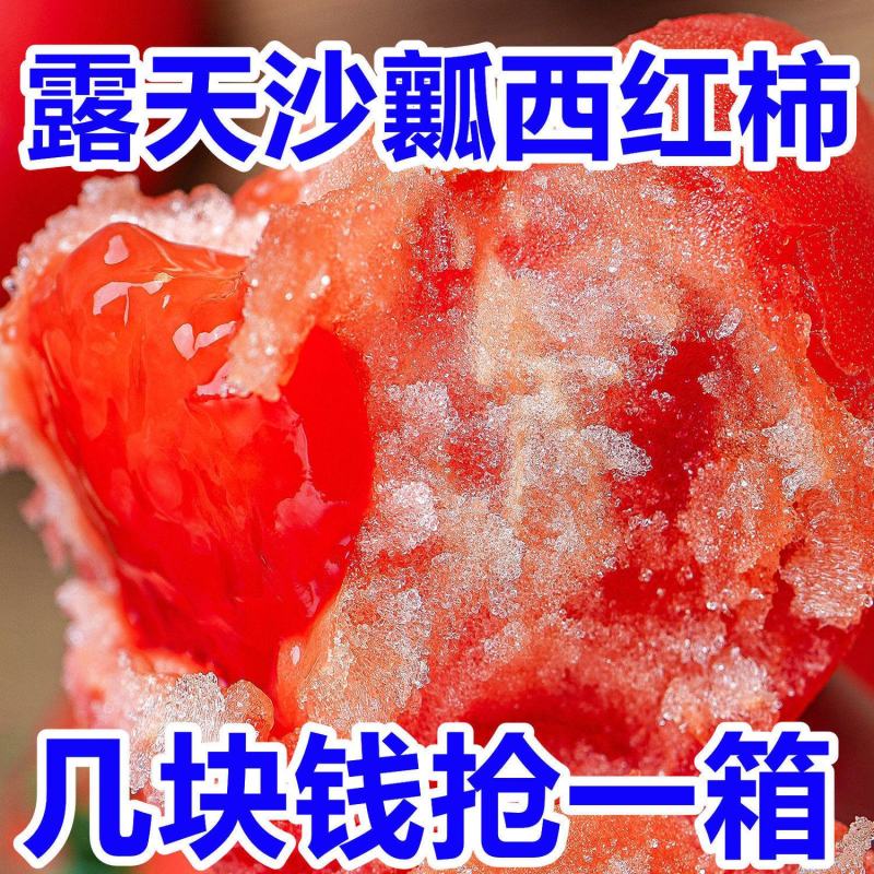 精品西红柿硬粉西红柿产地番茄量大从优欢迎来电采购