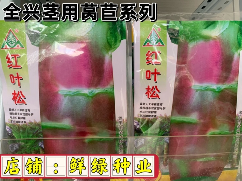 晚秋越冬双优圆叶笋，叶、皮红紫鲜嫩、茎肉嫩脆清香
